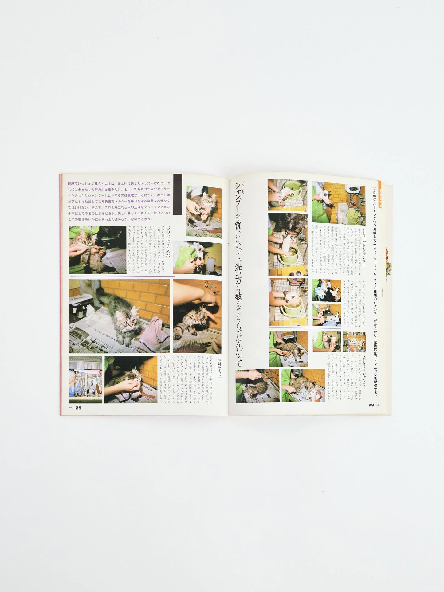 My Notes vol.14 City Cats