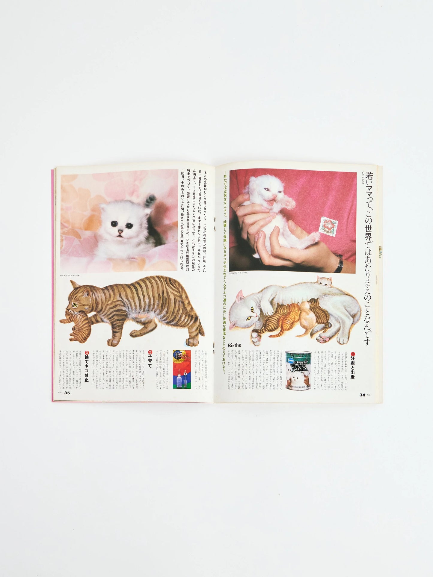 My Notes vol.14 City Cats
