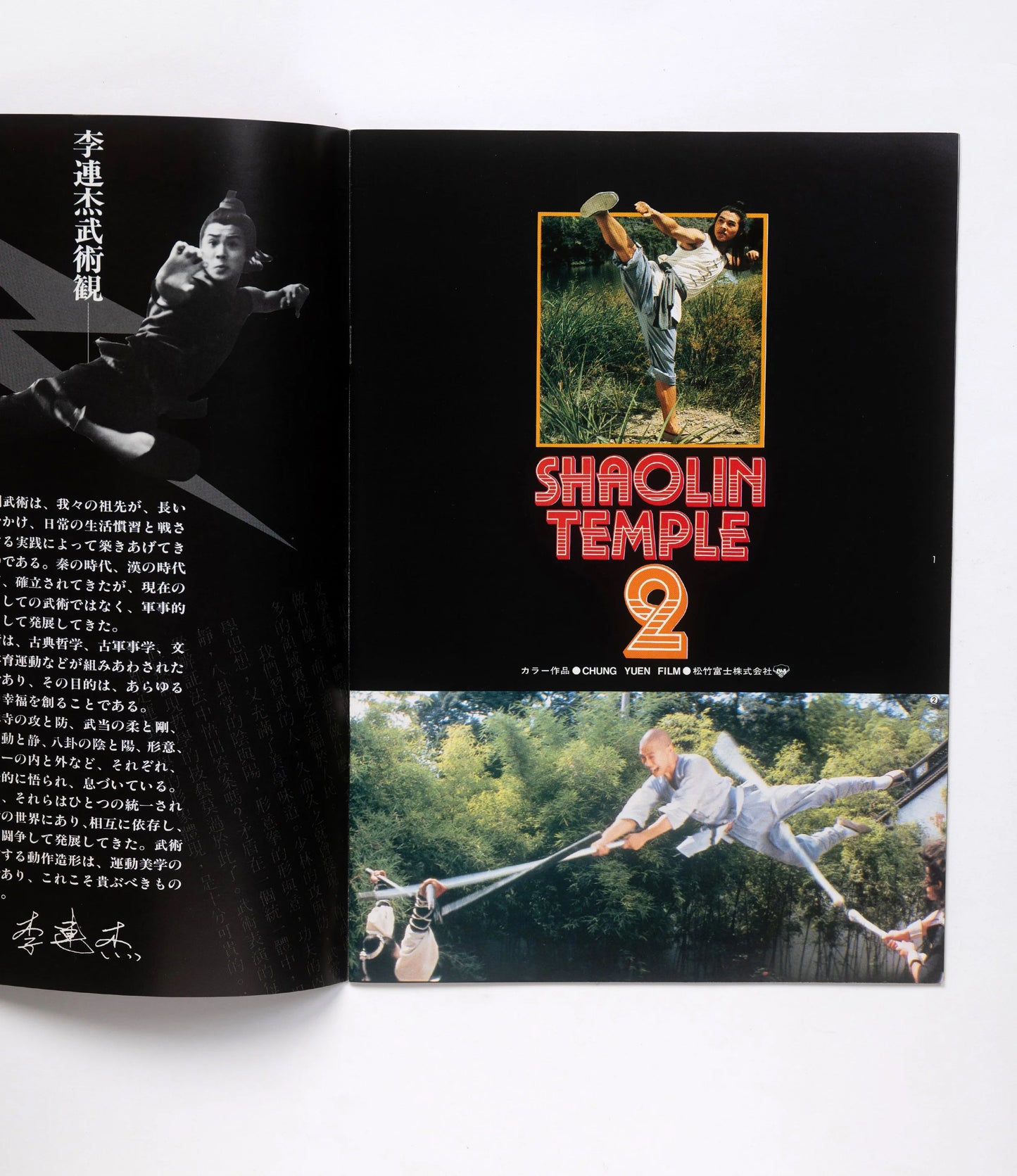 Shaolin Temple 2
