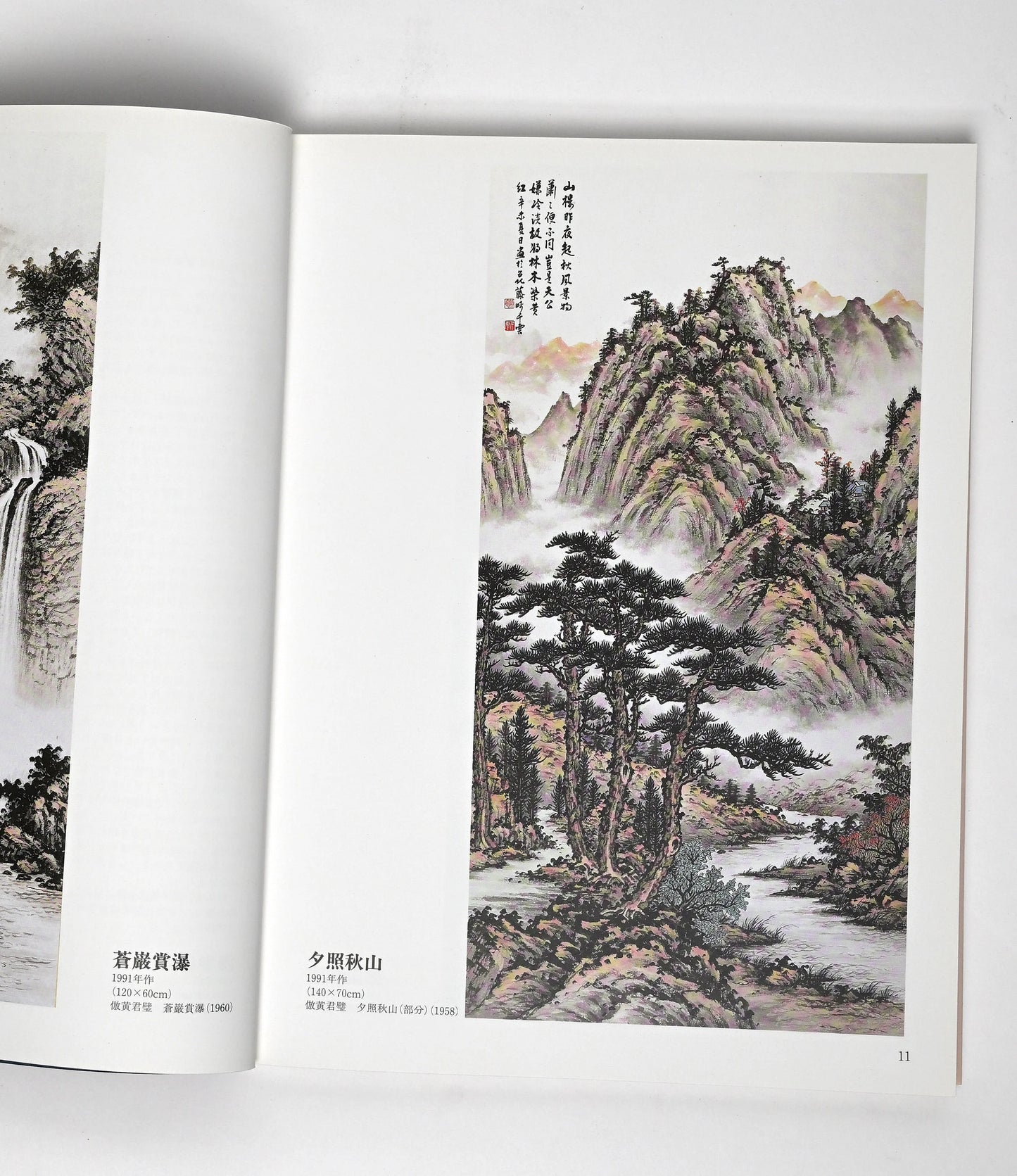 SUIBOKUGA SANSUI