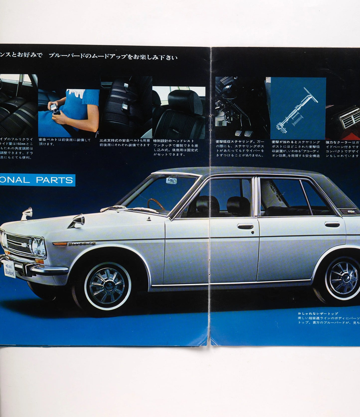 New Blue Bird 1600 Super Sonic Line
