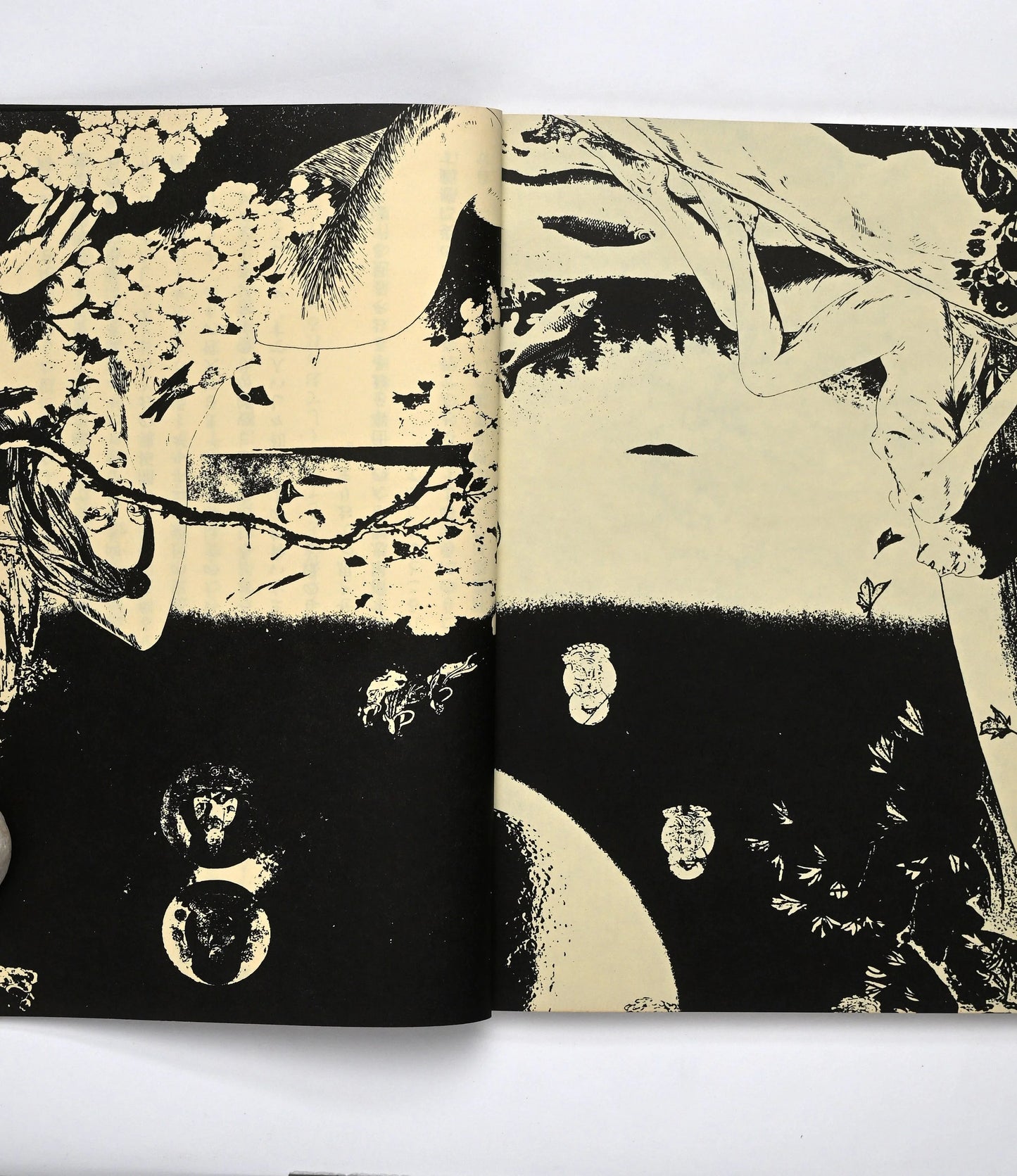 Tadanorori Yoko's Self-Chosen Works