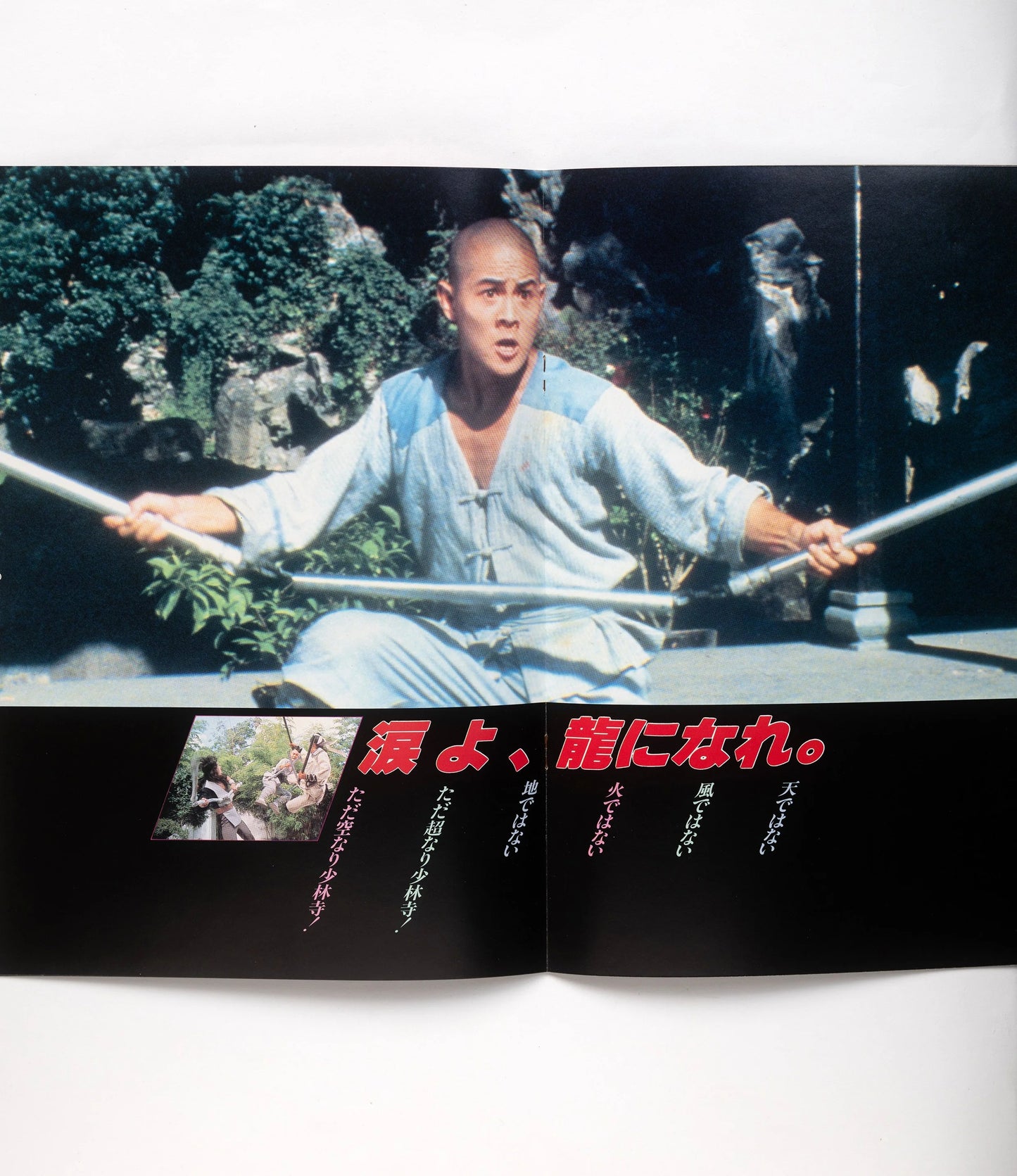 Shaolin Temple 2