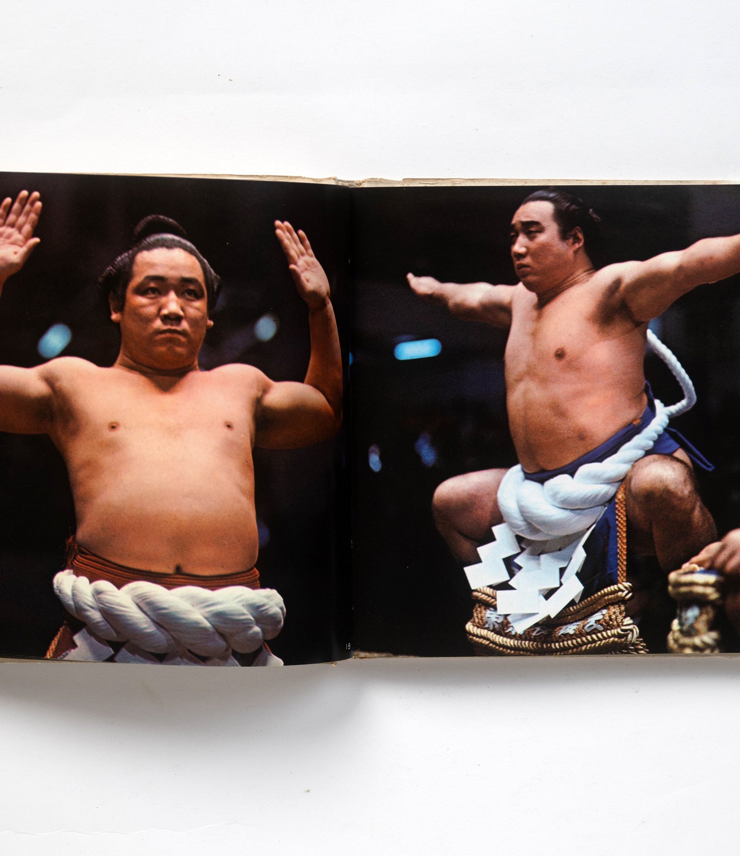 SUMO