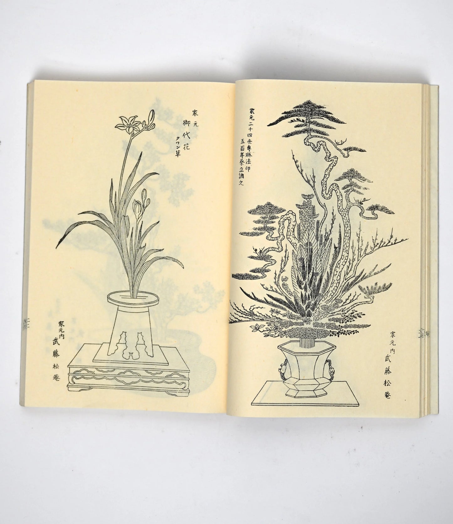 Hanakagami Traditional Ikebana Art Manual