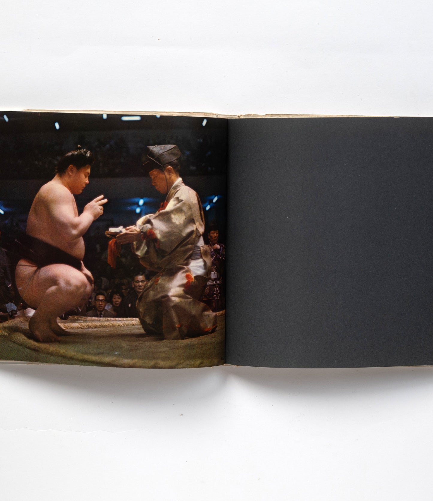 SUMO