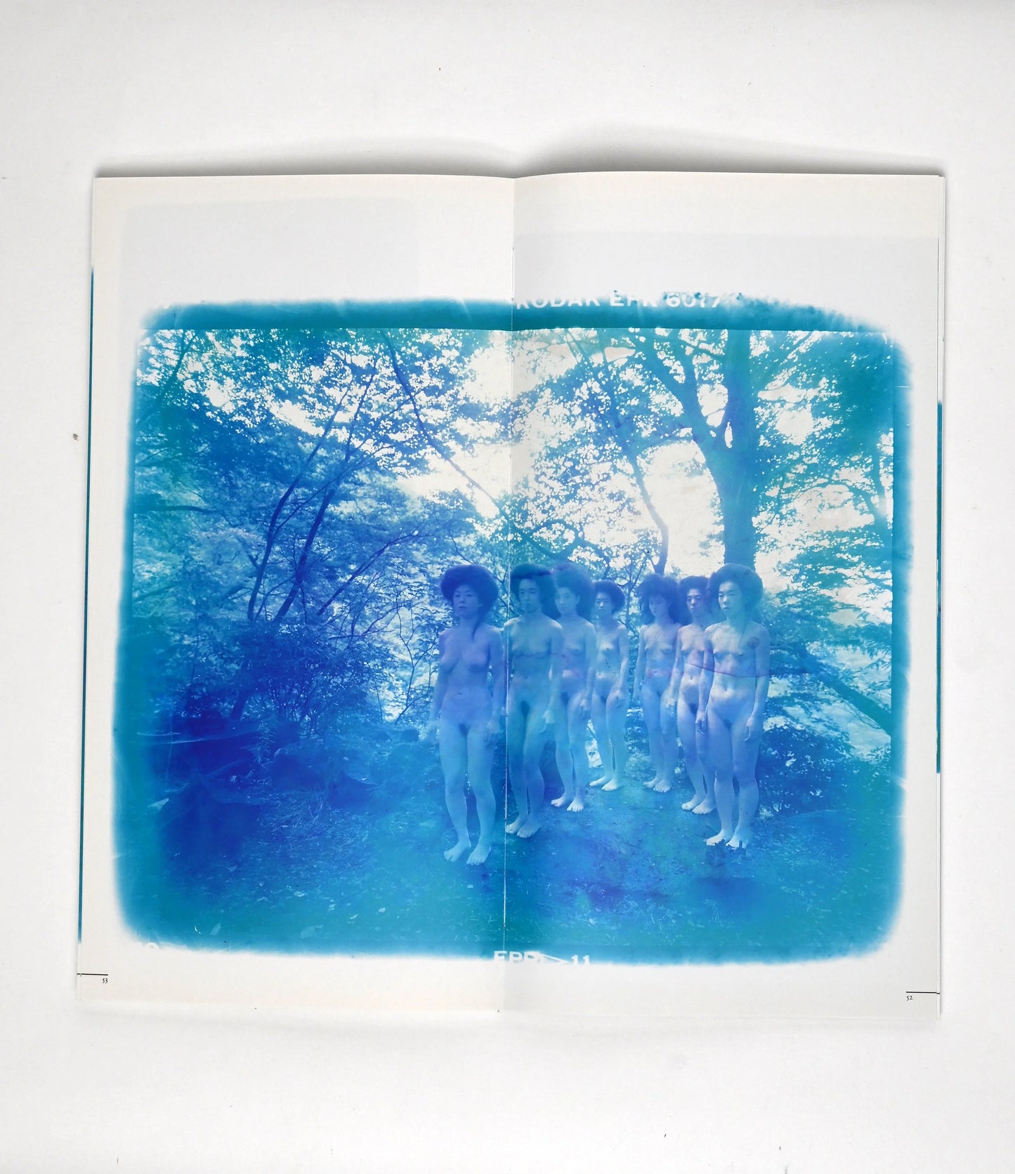 Aono Jidai by Nobuyoshi Araki