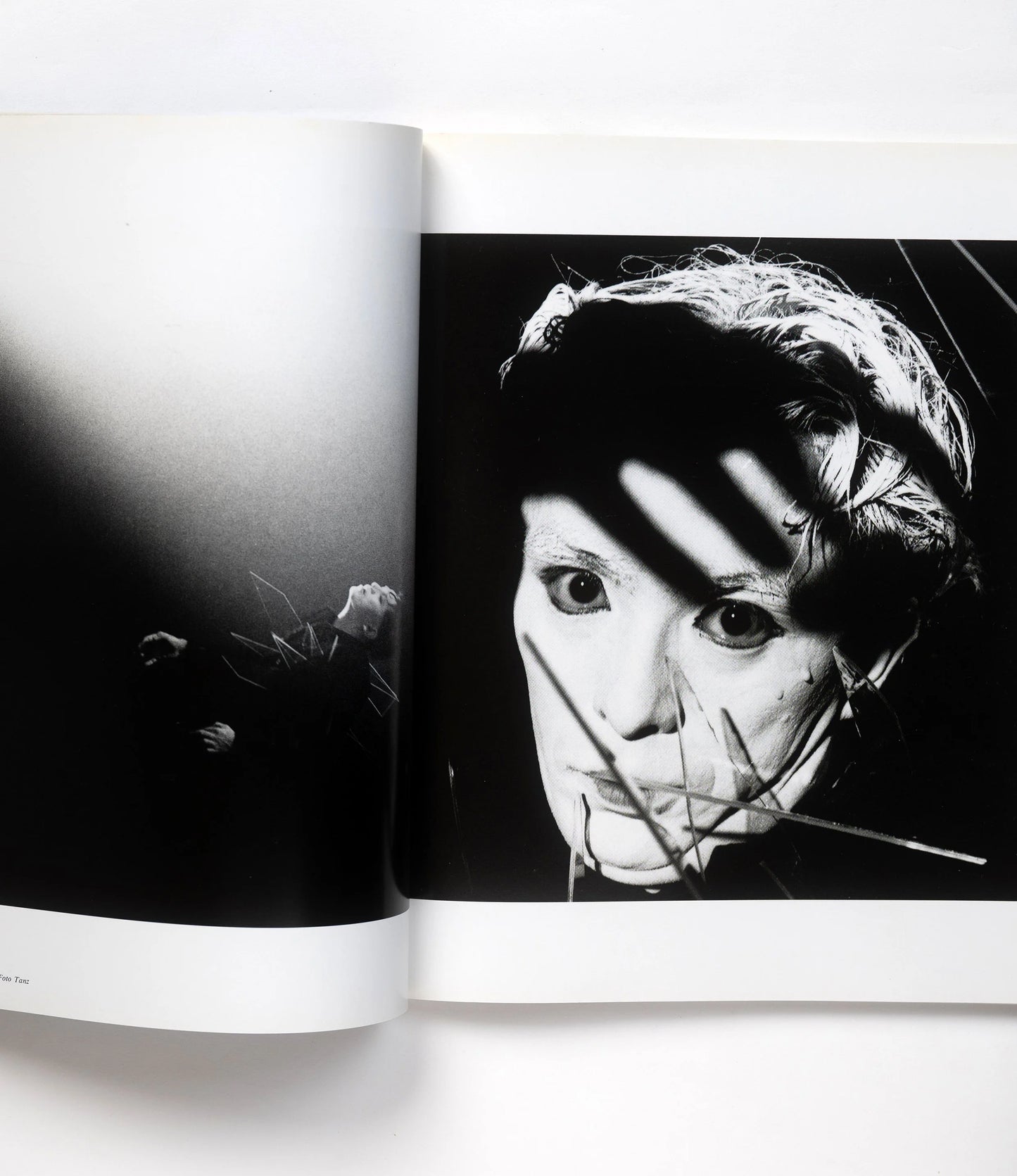 Araki dejavu magazine edition