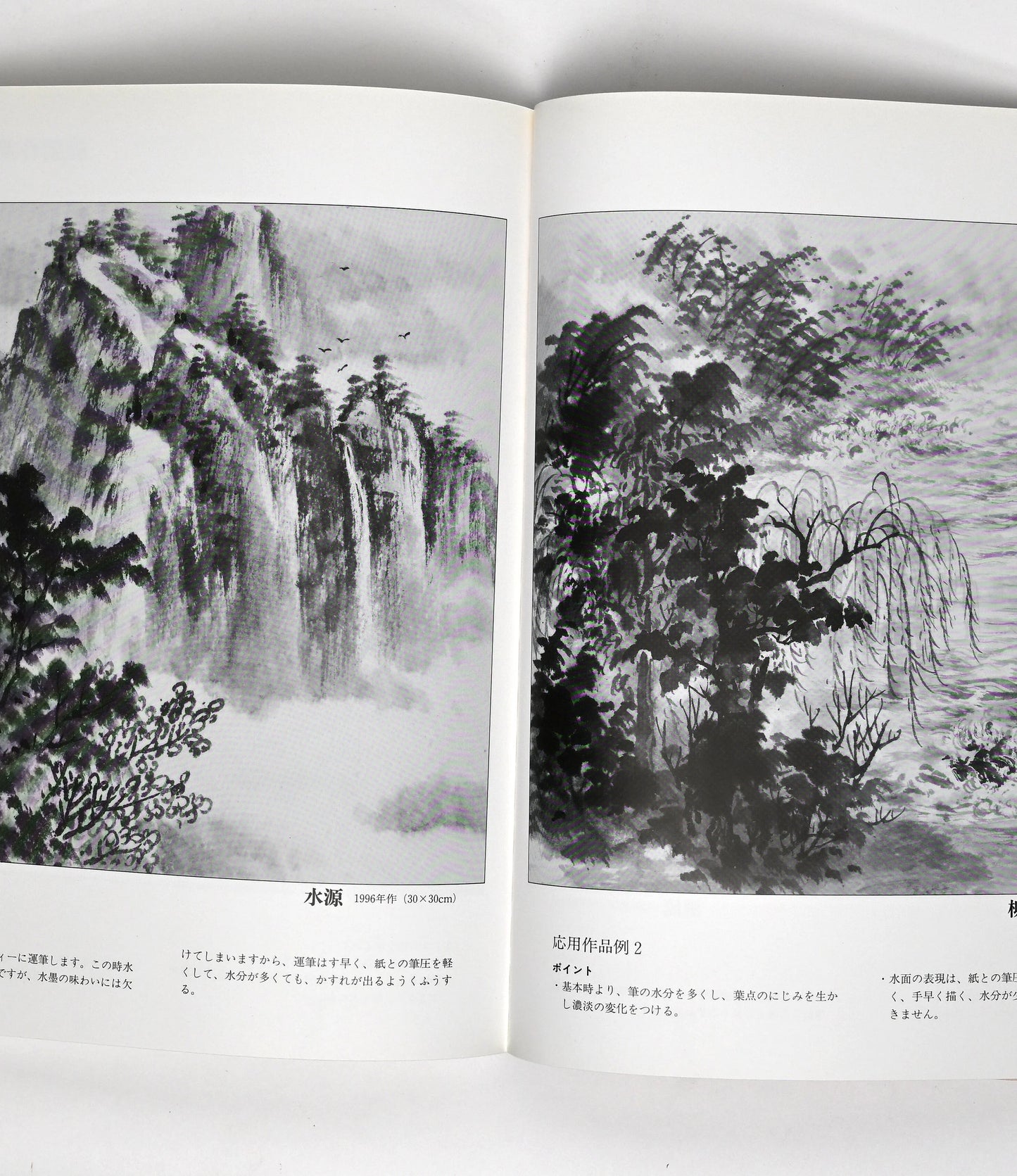 SUIBOKUGA SANSUI