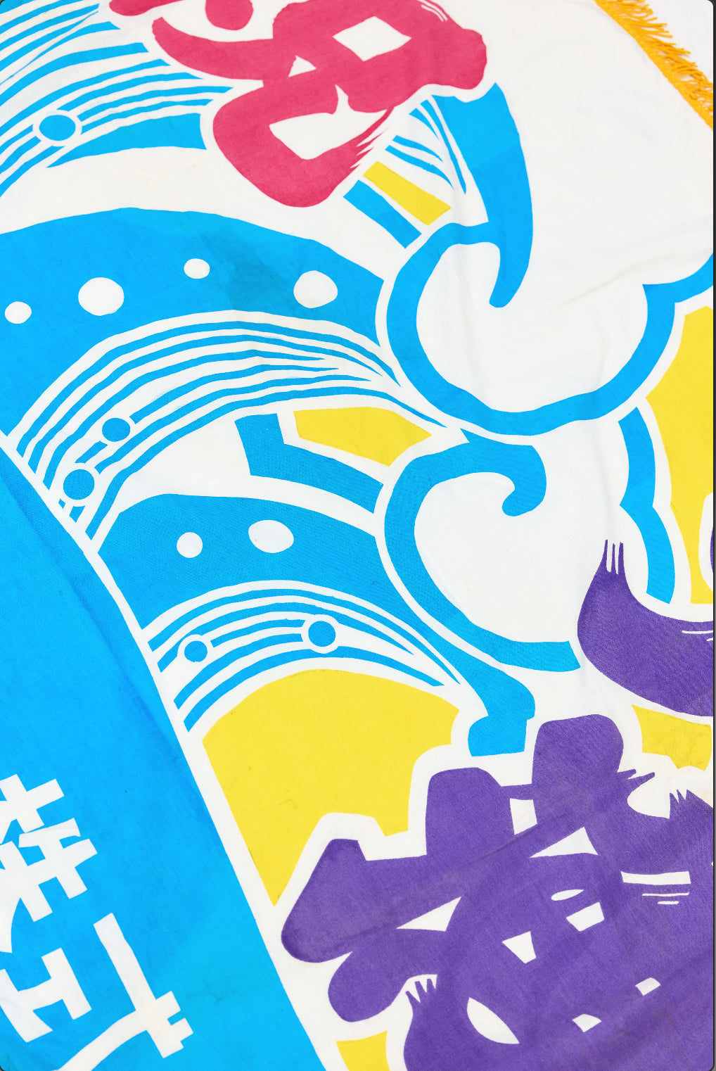 Big Catch Fisherman's flag